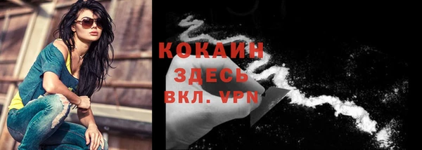 твердый Осинники