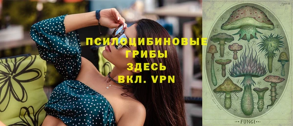 твердый Осинники